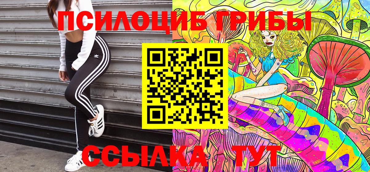 Кореновск  Галлюциногенные грибы Psilocybine cubensis  Вход с VPN 